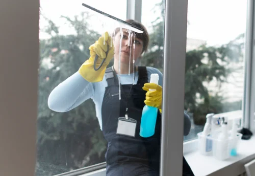 Nettoyage de vitres intérieures et extérieures à Chaffois